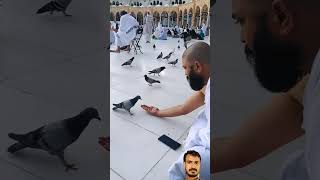 Download lagu maula ya Salli wa sallim daiMan abadan Hajj 2025 Khana Kaba Sharif unfreeze my account mp3 Download lagu maula ya Salli wa sallim daiMan abadan Hajj 2025 Khana Kaba Sharif unfreeze my account mp3
