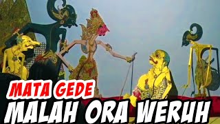 Download lagu LUCU AWIT AWAL‼️Bagong Dadi Gurune Ontoseno Malah Kena Apes l Ontoseno Rabi KI Seno nugroho mp3 Download lagu LUCU AWIT AWAL‼️Bagong Dadi Gurune Ontoseno Malah Kena Apes l Ontoseno Rabi KI Seno nugroho mp3