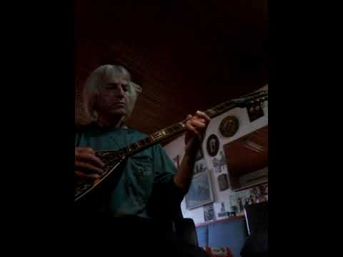 miroslav nikolic beli nislija