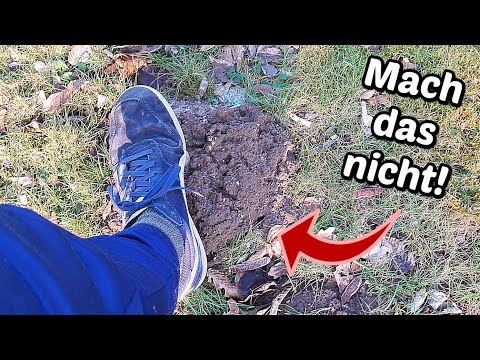 Warum du Maulwurfshügel nicht platt machen solltest!