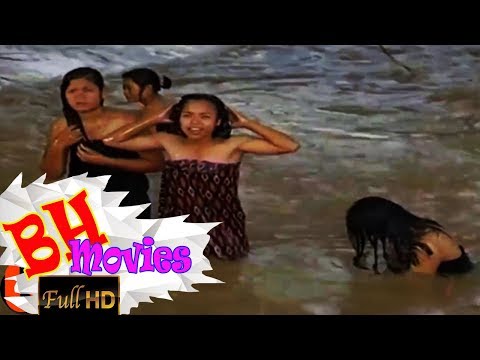 Chim Phí Bay Về Cội Nguồn