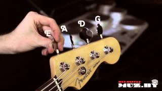 Video thumbnail for Fender Blacktop J Bass Супермаркет МУЗЫКА / Минск / MUZ.BY by Магазин МУЗЫКА / Минск / MUZ.BY