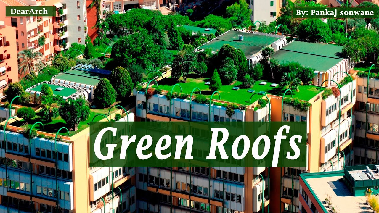 Green Roofs | How Green Roofs Can Help Cities | DIY living green roof installation.