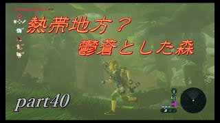 【ゼルダの伝説ブレスオブザワイルド】シーカータワーを探して・・・【実況プレイ】part40