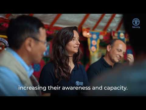 Чиглүүлэлтийг алгасахХайхҮүсгэх7Аватар зурагHow is Mongolia fighting antimicrobial resistance? – ACT in Mongolia