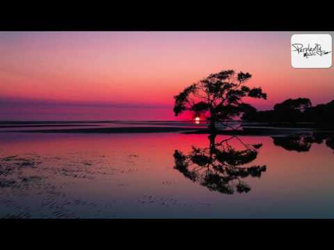 ♫ Best of Progressive House 2016 ♫ - Perplexity Music Showcase mixed by Orsa