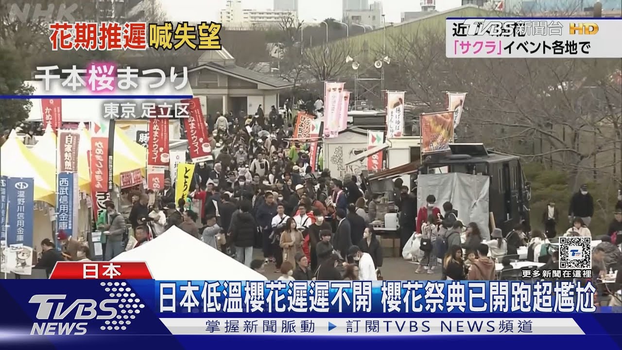 日本低溫櫻花遲遲不開 櫻花祭典已開跑超尷尬