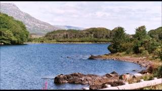 Irish Music - The Dacent Irish Boy (Angela Murphy)