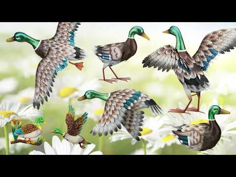 Bird Statuary | Regal’s Top Category Series