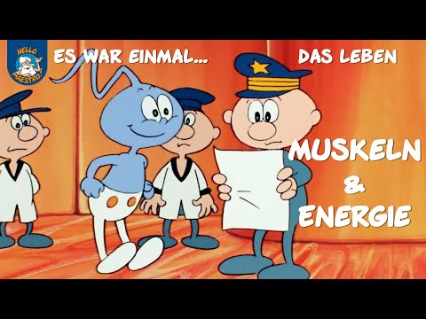 Wunden Hals-Kopf-Hals Morgen Statistiken Wirbelsäule Behandlung