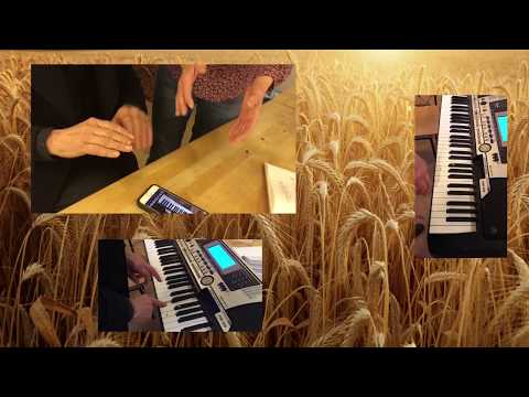 Das Gleichnis vom Sämann