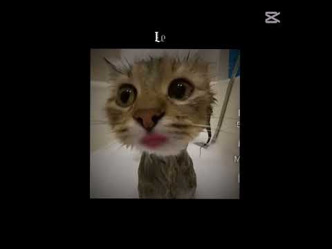 The Best Trio for ever🤞🏻