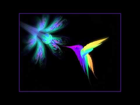 Beija-Flor - Hinário das Abelhinhas