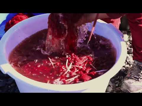 Kimün trarikanmakuñ Wallmapu