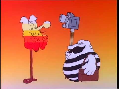 Stripy - Photography