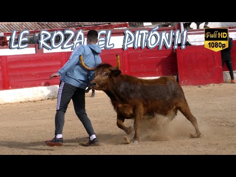 LE ROZA EL PITÓN!! 👽 Tienta Moha & friends (19-2-22)