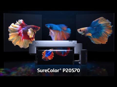 SureColor P20570 64-Inch Professional Printer | Products | Epson US