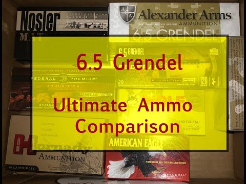 6.5 Grendel - Ultimate Ammo Comparison (Horrible results)