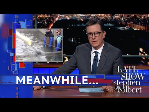 一方で...魚類輸送のビッグニュース (Meanwhile... Big News In Fish Transport)