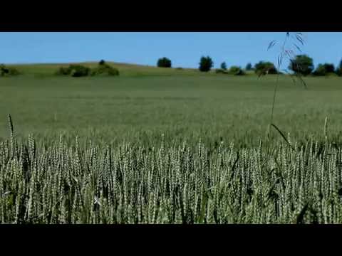 Rezydencja Seniora Tomice