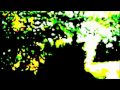 That Timothy Leary Shit - The Volta Sound