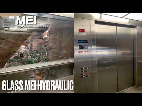 Glass MEI Hydraulic elevator @ Bass Pro Shops - Las Vegas, NV