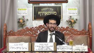 הרב יובל שרפי | הלכות | מוסאיוף (בית הכנסת מוסאיוף - ערוץ חדש) - התמונה מוצגת ישירות מתוך אתר האינטרנט יוטיוב. זכויות היוצרים בתמונה שייכות ליוצרה. קישור קרדיט למקור התוכן נמצא בתוך דף הסרטון