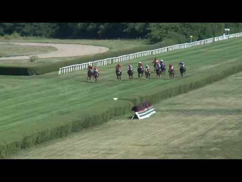 2017.07.30. 5. futam - FRANCIS CAVALIERO EMLÉKVERSENY HENDIKEP (II.o.)