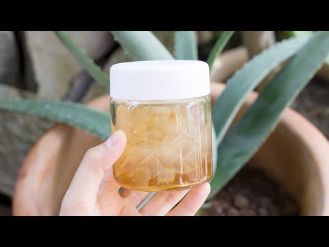 【韓國蜂蜜蘆薈茶的做法】自製無添加純天然