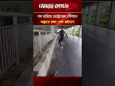 অল্পতে রক্ষা পেল গুইসাপ! পথ হারিয়ে মেট্রোরেল স্টেশনে | Monitor Lizard | Bhorer Kagoj