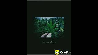 Download lagu Story ganja mp3 Download lagu Story ganja mp3