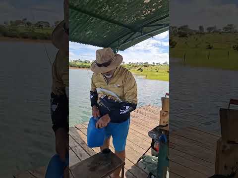 Represa de três Marias. Morada nova de minas. 2026.