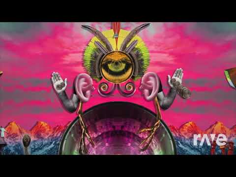 Dusted To The Compass - The Human Experience & Bassnectar ft. Lila Rose | RaveDj