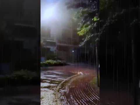 bhega bhega sa ||Seher Naaz Novel #rain #love #shortsviral #shorts #seher #romantic #novelistic