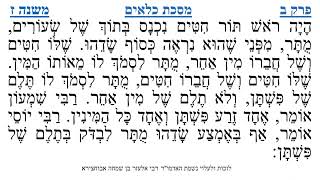 מסכת כלאים פרק ב משנה ז