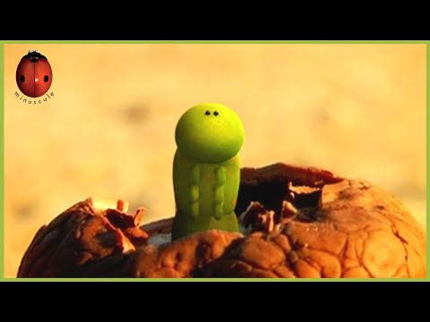 The Shellproof Nut | Minuscule 🍃 45' Compilation