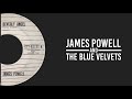 James Powell & The Blue Velvets (CCR) - Beverly Angel [Rare Track]