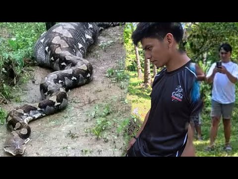 SAWA NA LUMALAMON NG MGA ALAGANG  HAYOP