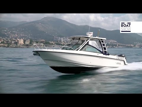 [ENG] BOSTON WHALER 270 Vantage - Review - The Boat Show