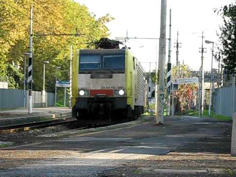 E189.091 European Bulls con MRV Anagni - Chiasso