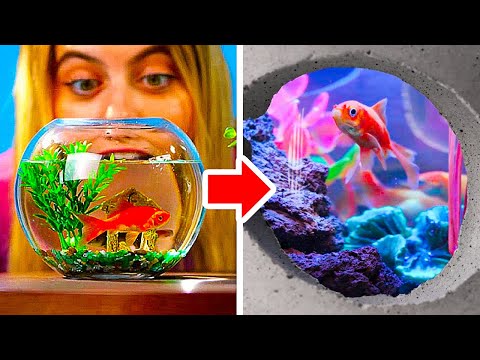 DIY Aquariums you can create at home 🐠