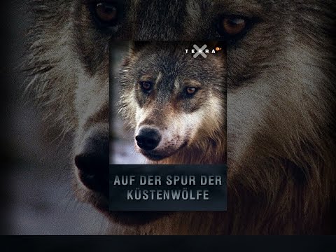 Auf der Spur der Küstenwölfe