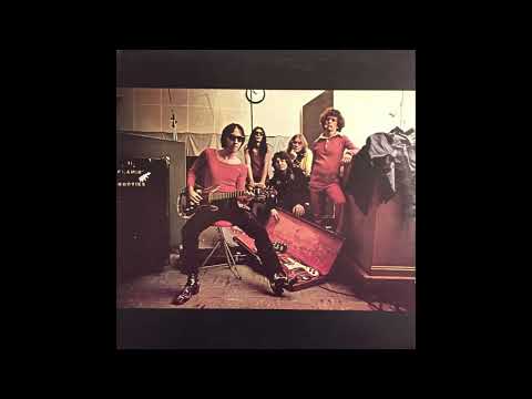 The Flamin' Groovies – 32-20