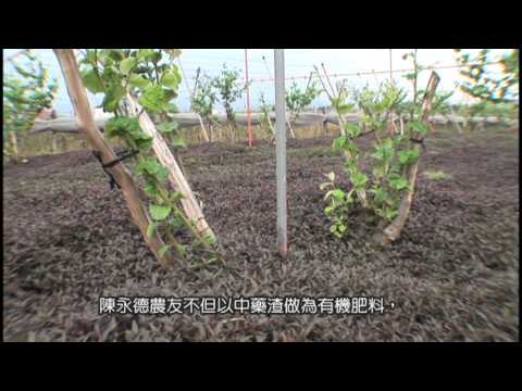 102年合理化施肥績優表揚 12位得獎農友影片 