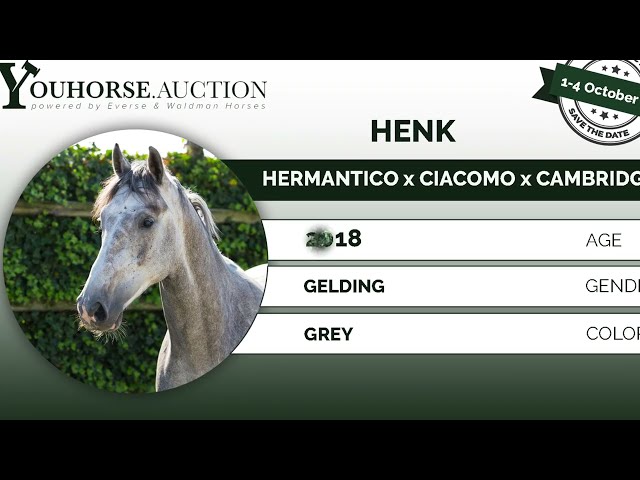 Henk under the saddle