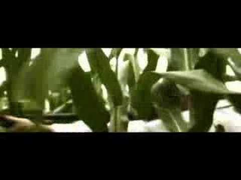 デッドリーコーン