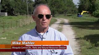 Water Drainage and Mosquito Control