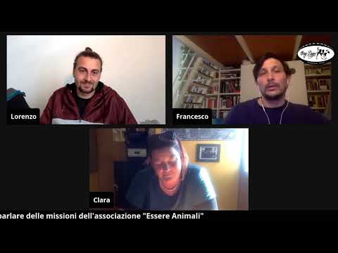 "Essere o non essere animali?": STRAY DOGS chiama FRANCESCO CECCARELLI