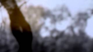 sam baker - f e a s t  (official)