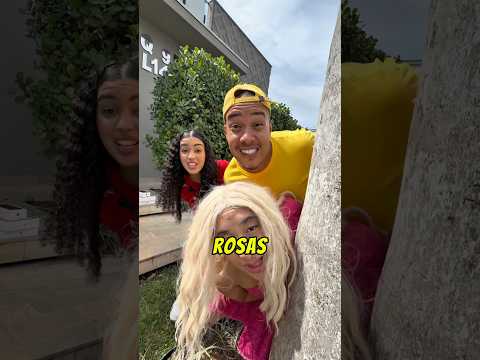 MANSÃO DOS ROSAS